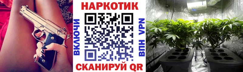 Где купить наркоту Зима Псилоцибиновые грибы  СОЛЬ  Мефедрон  Конопля  COCAIN  ТГК  ГАШ 