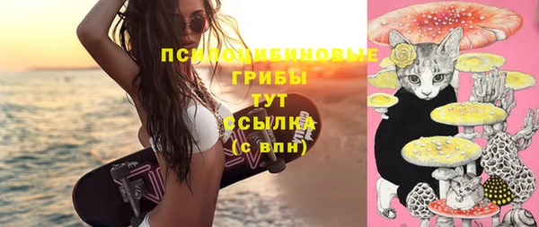мяу мяу мука Вяземский